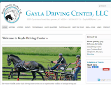 Tablet Screenshot of gayladrivingcenter.com